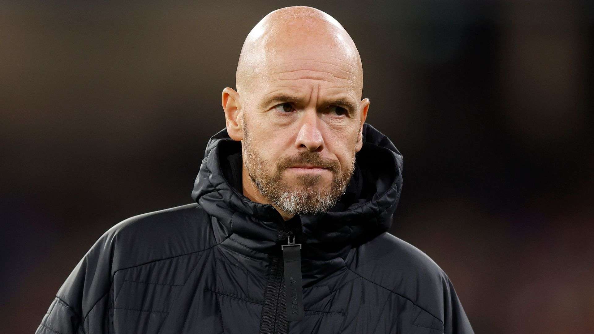 发展起到了 发展起到了